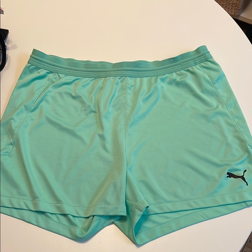 Puma DRYCELL XL Aqua Sport Shorts